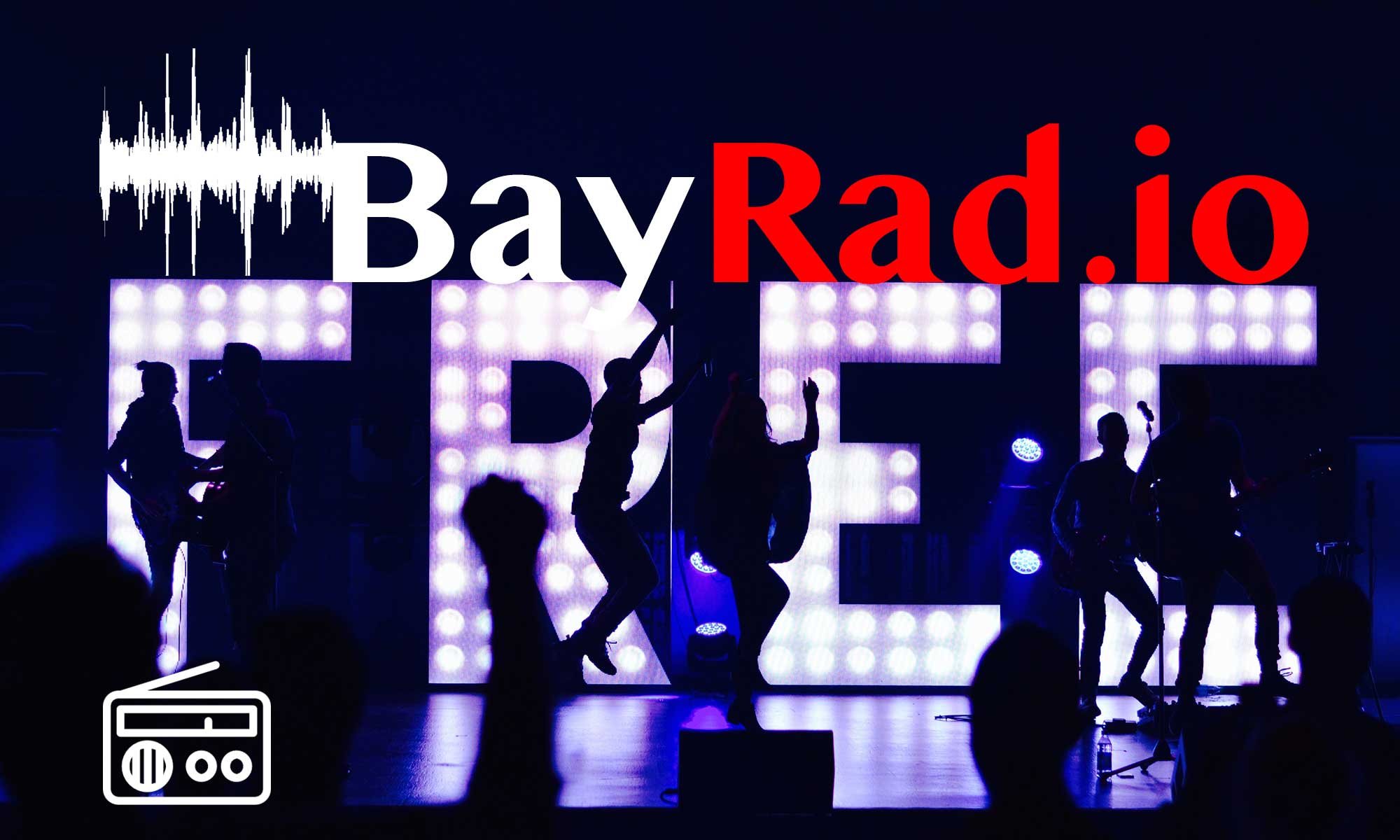 baylayoutNEW.jpg